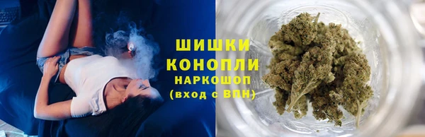 spice Бородино