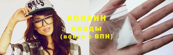 spice Бородино
