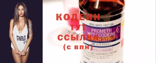 spice Бородино