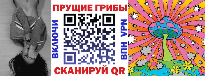 магазин продажи   Энем  Псилоцибиновые грибы MAGIC MUSHROOMS 